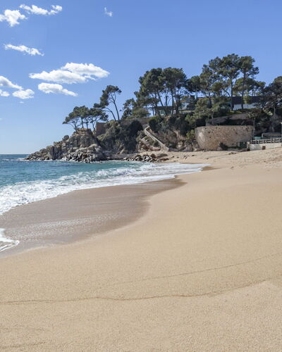 Montse