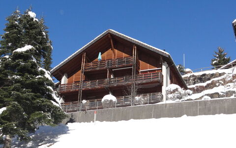 Fellenrüti 81: Himmel, Pflanze, Gebäude, Wolke, Fenster, Baum, Haus, Holz, Urban Design, Steigung