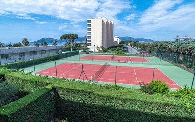 Unterkunft:&nbsp;Royal Palm 595.2