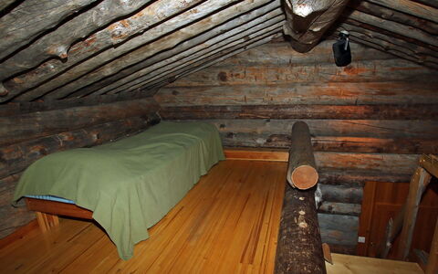 Poromooli A1: Holz, Hütte, Blockhaus, Wald, Schuppen, Gartenbauten, Lärche, Wald, Holzbeize