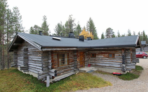 Poromooli A1: Holz, Hütte, Blockhaus, Wald, Schuppen, Gartenbauten, Lärche, Wald, Holzbeize