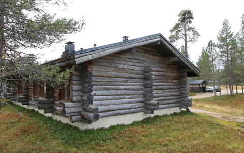 Poromooli A1: Holz, Hütte, Blockhaus, Wald, Schuppen, Gartenbauten, Lärche, Wald, Holzbeize