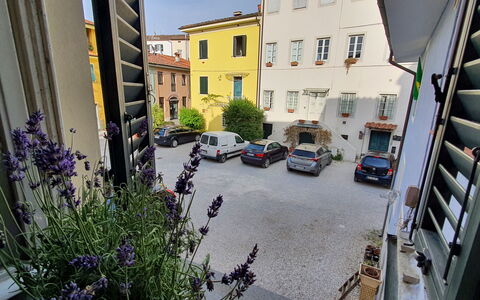 Lucida: Pflanze, Gebäude, Fenster, Auto, Rad, Blume, Fahrzeug, Strassenbelag, Urban Design