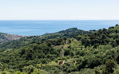 Unterkunft:&nbsp;Terrazza Bella Vista 6.2