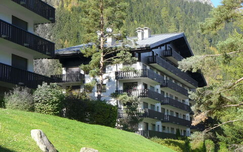 Chamonix 100: Gebäude, Eigentum, Pflanze, Fenster, Baum, Berg, Grün, Natur, Vegetation, Urban Design