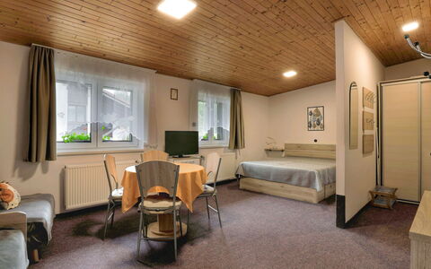 Harrachov 417: Möbel, Tabelle, Komfort, Zimmerpflanze, Die Architektur, Stuhl, Gebäude, Fenster, Wohnzimmer, Fussboden