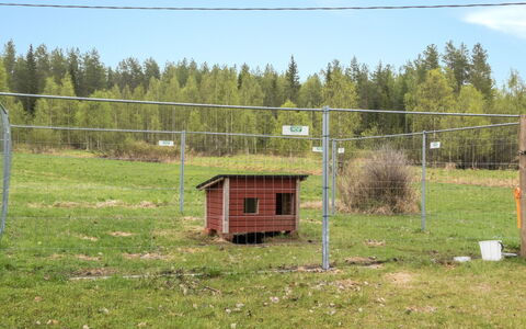 Rantala: Hütte, Haus, Zuhause, Gartenbauten, Abstellgleis, Blockhaus, Bauernhaus, Estate, Schuppen, Garten