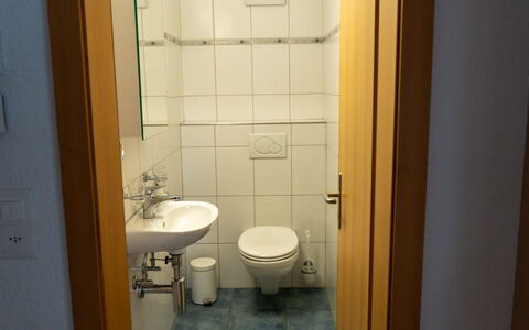 Alpine Retreat: Badezimmer, Bad Sink, Armatur, Sinken, Flooring, Fussboden, Zapfhahn, Installation, Interior Design, Toilleten Sitz