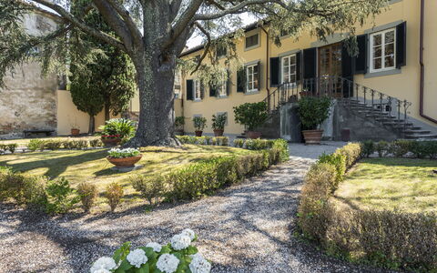 Villa San Gennaro: Pflanze, Gebäude, Fenster, Baum, Botanik, Vegetation, Strassenbelag, Haus, Blume, Gras