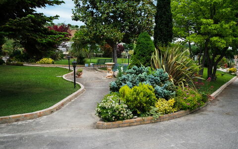 Residenza Thaulero: Pflanze, Baum, Botanik, Strassenbelag, Asphalt, Urban Design, Blume, Ground, Strasse, Gras