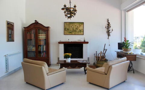 Tre Donne: Pflanze, Bilderrahmen, Möbel, Couch, Zimmerpflanze, Fenster, Holz, Interior Design, Blumentopf, Fussboden