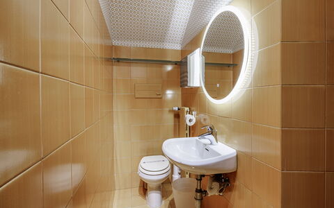 Dimora Fiorentina: Braun, Spiegel, Zapfhahn, Armatur, Sinken, Bad Sink, Badezimmer, Toilette, Lila, Holz