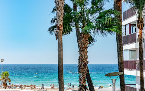 Bahia del Sol: Gewässer, Strand, Küste, Meer, Küsten Und Ozeanische Forms, Ozean, Ufer, Resort, Tropen