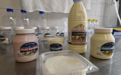 Chiavenna 100: Essen, Flasche, Zutat, Drinkware, Trinken