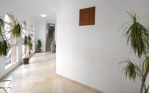 Perlamar 4: Pflanze, Eigentum, Gebäude, Zimmerpflanze, Holz, Interior Design, Fussboden, Flooring, Blumentopf, Kunst