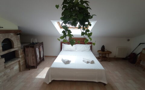 L'attico Di Castelfidardo: Pflanze, Möbel, Blume, Gebäude, Komfort, Holz, Zimmerpflanze, Interior Design, Fussboden, Haus