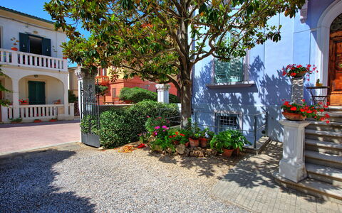 Casa Riva: Pflanze, Blume, Gebäude, Fenster, Eigentum, Blumentopf, Blau, Strassenbelag, Baum, Zimmerpflanze