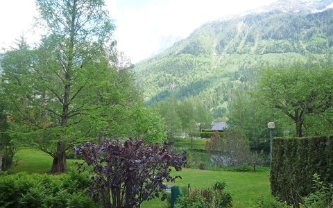 Chamonix - les Praz 100: Natürliche Landschaft, Natur, Bergstation, Hochland, Grün, Baum, Vegetation, Bergforms, Naturschutzgebiet, Berg