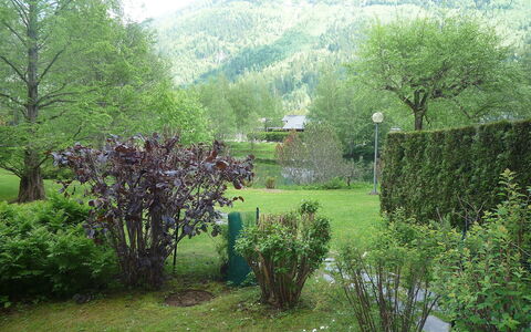 Chamonix - les Praz 100: Natur, Natürliche Landschaft, Grün, Vegetation, Baum, Garten, Gras, Eigentum, Naturschutzgebiet, Bergstation