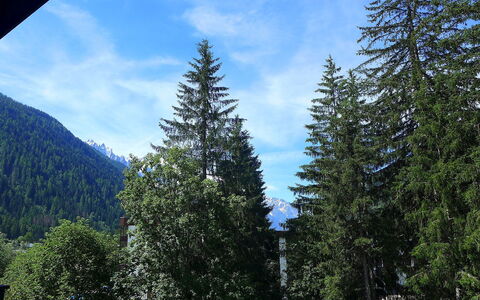 Argentière 200: Baum, Balsamtanne, Shortleaf Black Gezierter, Larix Lyalliisubalpine Larch, Tropische Und Subtropische Koniferenwald, Drehkiefer, Sugar Pine, Biome, Fichten-Fir Wald, Oregonpine