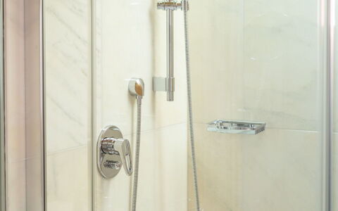 Katschberg 8: Duschkopf, Armatur, Duschtür, Brausenstange, Badezimmer, Dusche, Linie, Duschpaneel