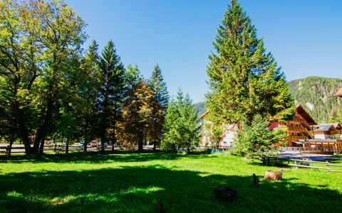 Canazei 440: Pflanze, Himmel, Natürliche Landschaft, Lärche, Baum, Grundstueck, Vegetation, Sonnenlicht, Gras