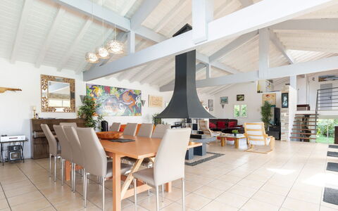 Villa Suerte: Möbel, Tabelle, Stuhl, Zimmerpflanze, Fussboden, Pflanze, Flooring, Holz, Blumentopf, Wohnzimmer