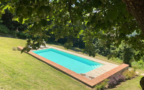 San Tommaso: Pflanze, Schwimmbad, Wasser, Rechteck, Schatten, Gras, Freizeit, Strauch, Landschaft, Ground