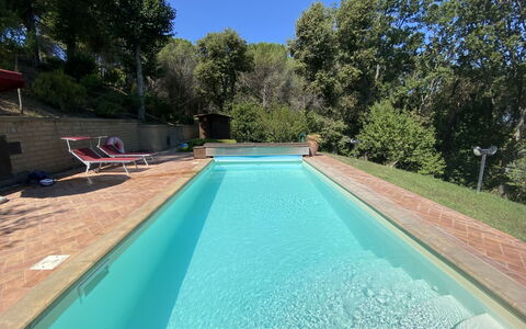 Villa le Querce: Wasser, Himmel, Pflanze, Natur, Schwimmbad, Schatten, Baum, Rechteck, Holz, Fussboden