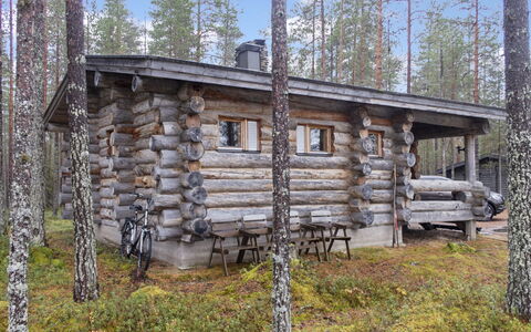 Hakojärven Kelomajat 2: Holz, Blockhaus, Hütte, Lärche, Wald, Schuppen, Hütte, Gartenbauten