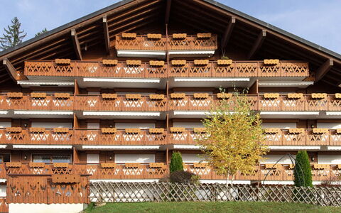 Villars 761: Pflanze, Himmel, Gebäude, Grundstueck, Urban Design, Holz, Baum, Wohngebiet, Schatten, Fassade