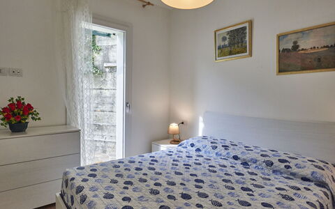 Anna: Pflanze, Eigentum, Fenster, Blumentopf, Textil, Beleuchtung, Holz, Zimmerpflanze, Gelb