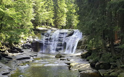 Harrachov 63