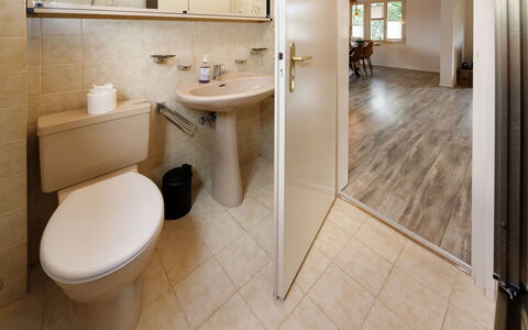 Chalet Dori: Flooring, Armatur, Bad Sink, Wand, Fussboden, Interior Design, Holz, Badezimmer, Sinken, Toilette