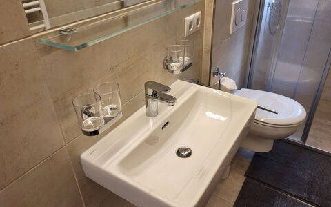Stark: Braun, Zapfhahn, Armatur, Bad Sink, Sinken, Eigentum, Spiegel, Badezimmer, Interior Design