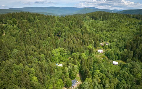 Sunny Slope & Sauna: Baum, Natürlichen Umgebung, Natur, Blatt, Vegetation, Wald, Landschaft, Ökoregion, Pflanzengemeinschaft, Grundstueck