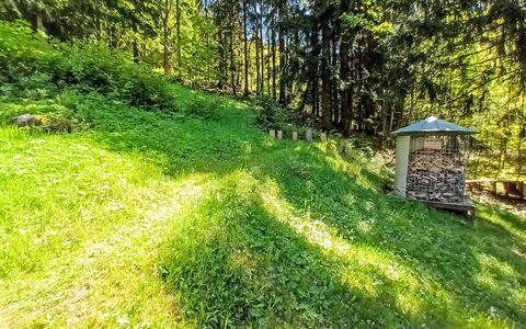 Sunny Slope & Sauna: Pflanze, Baum, Natürliche Landschaft, Gras, Ground, Schatten, Landschaft, Strauch, Wiese, Terrestrische Plant