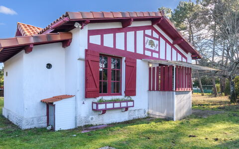 Chante Cigale: Himmel, Pflanze, Wolke, Gebäude, Baum, Schatten, Grundstueck, Haus, Holz, Hütte
