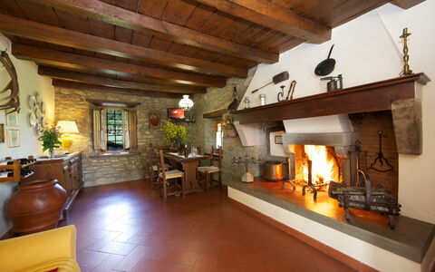 Villa Renaccio: Gebäude, Holz, Pflanze, Interior Design, Wohnzimmer, Couch, Zimmerpflanze, Fussboden, Strahl, Blumentopf