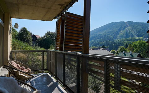 Harrachov 67: Himmel, Eigentum, Pflanze, Holz, Veranda, Schatten, Gebäude, Baum, Zaun, Berg