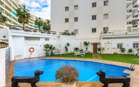 Palm Beach: Wasser, Pflanze, Gebäude, Eigentum, Fenster, Schwimmbad, Azurblau, Gartenmöbel, Blume, Interior Design