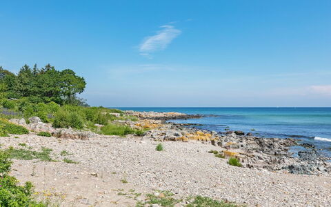 Gjuro - 50M from the Sea: Holz, Möbel, Wohnung, Zimmer, Decke, Holzbeize, Stuhl, Hartholz, Lack, Holz