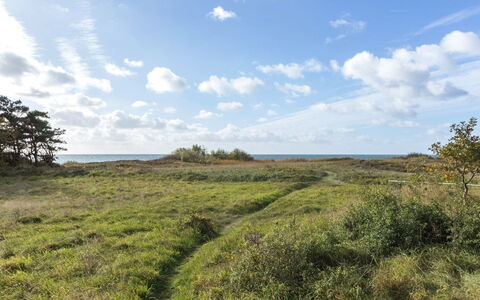 Kajsa - 50M from the Sea: Gras, Haus, Dach, Zuhause, Hütte, Strauch, Grundstueck, Ländliches Gebiet, Bauernhaus, Ground