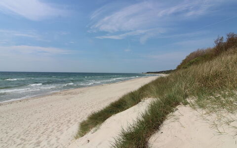 Greta - 200M from the Sea: Gewässer, Strand, Küste, Küsten Und Ozeanische Forms, Ufer, Meer, Sand, Ozean, Bank