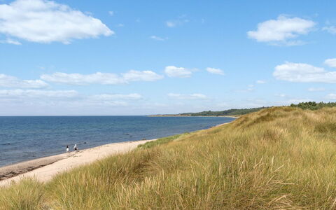 Anarosa - 200M from the Sea: Gewässer, Küste, Strand, Horizont, Küsten Und Ozeanische Forms, Ufer, Meer, Sand, Ökoregion, Ozean