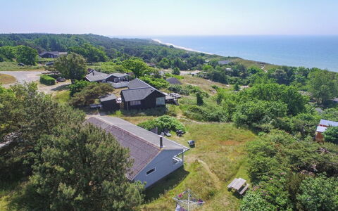 Bondi - 150M from the Sea: Holz, Möbel, Wohnung, Zimmer, Decke, Holzbeize, Stuhl, Hartholz, Lack, Holz