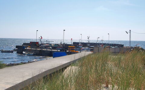 Majken - 300M from the Sea: Holz, Möbel, Wohnung, Zimmer, Decke, Holzbeize, Stuhl, Hartholz, Lack, Holz