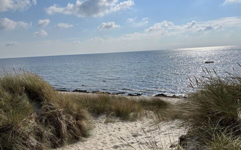 Majken - 300M from the Sea: Holz, Möbel, Wohnung, Zimmer, Decke, Holzbeize, Stuhl, Hartholz, Lack, Holz