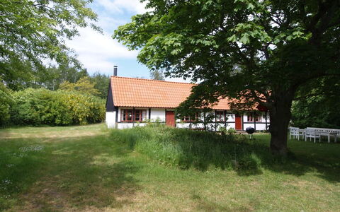 Viggo - 300M from the Sea: Holz, Haus, Hütte, Zuhause, Dach, Ländliches Gebiet, Abstellgleis, Blockhaus, Gartenbauten, Hartholz