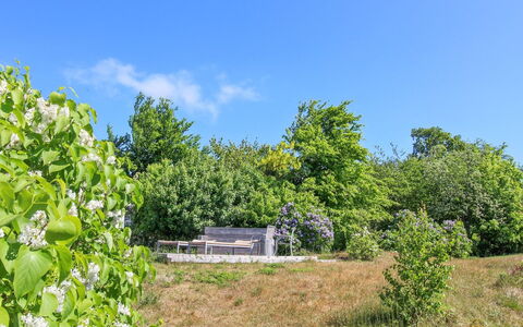 Benna - 120M from the Sea: Blau, Baum, Grün, Blatt, Natur, Vegetation, Strauch, Pflanzengemeinschaft, Grundstueck, Ländliches Gebiet